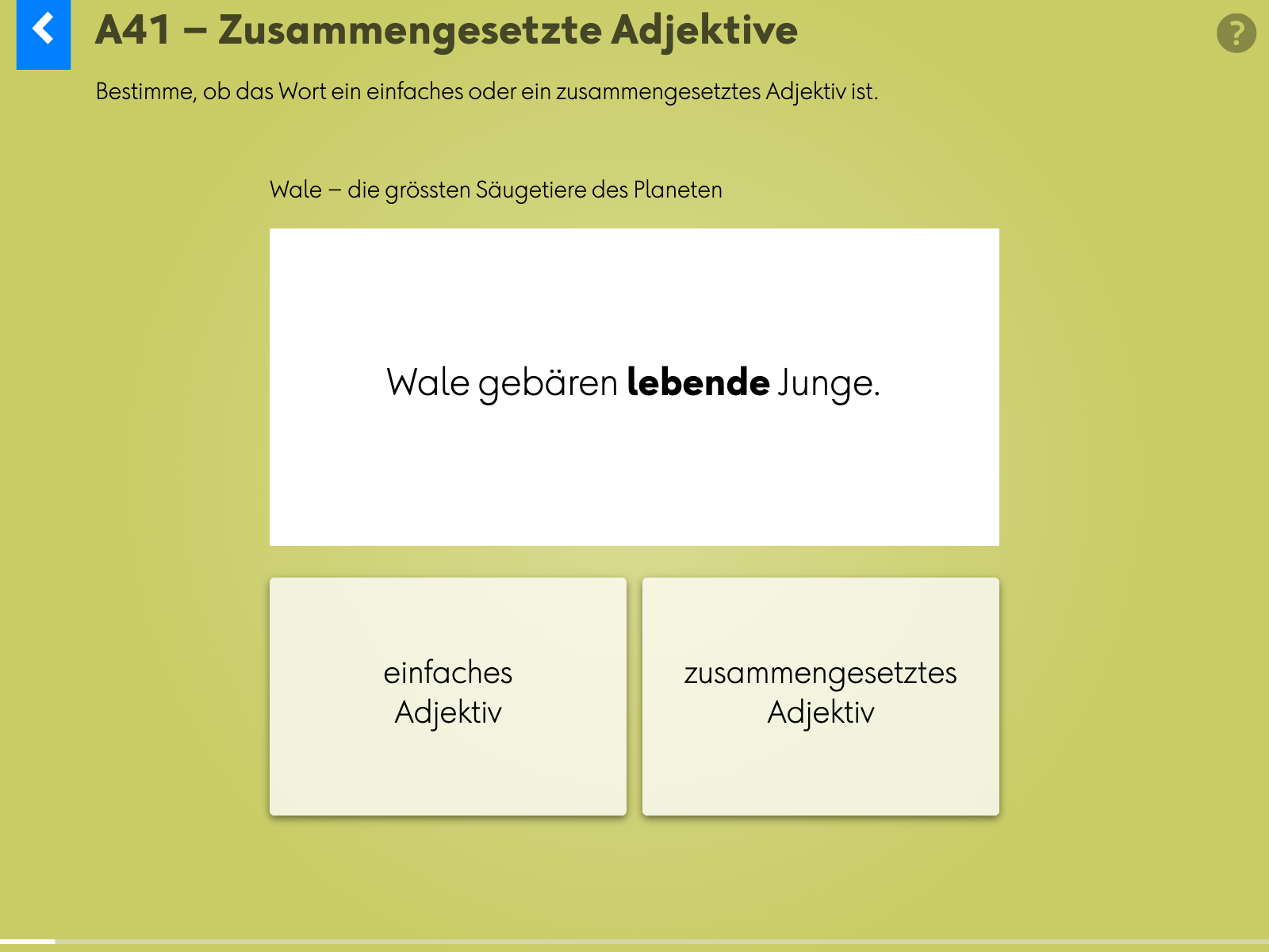 Wortgrammatik: Adjektive: a41