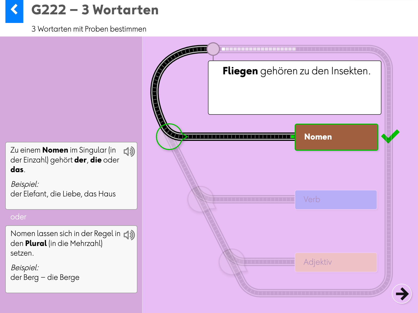 Wortgrammatik: Grundlagen: G222