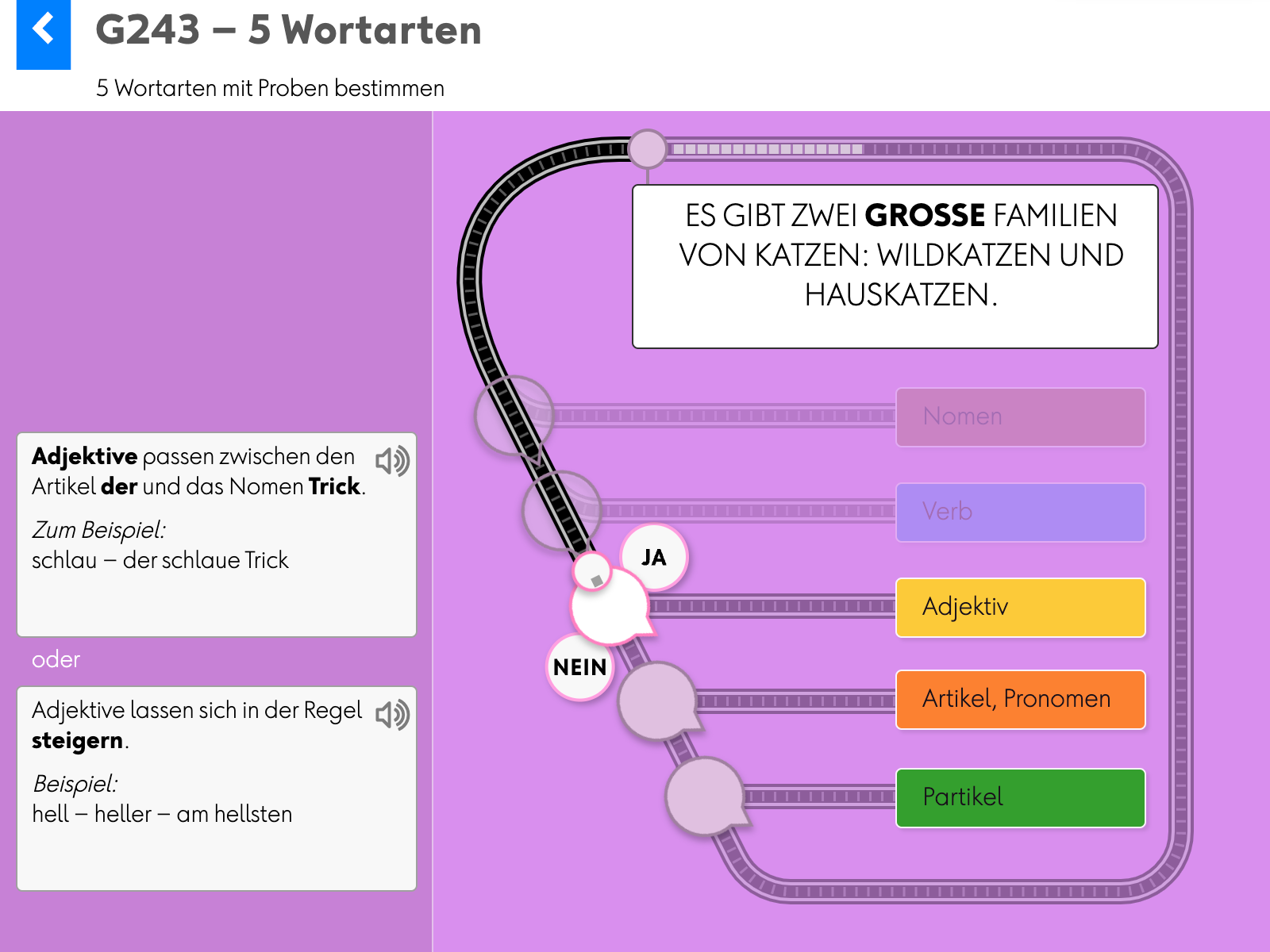 Wortgrammatik: Grundlagen: G243