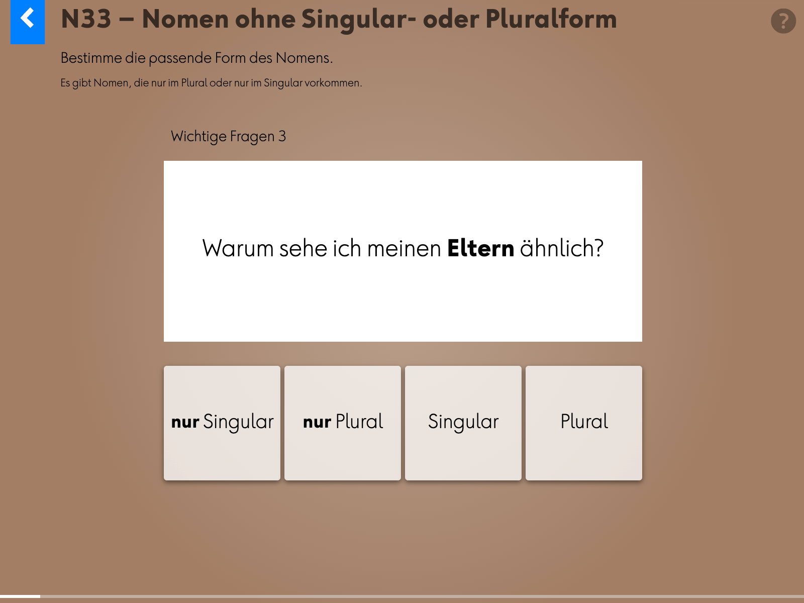 Wortgrammatik: Nomen: n33